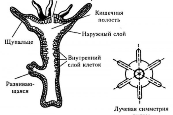 Переход на кракен