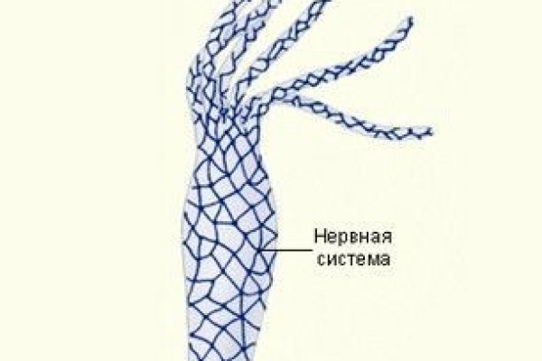 Доступ к сайту кракен