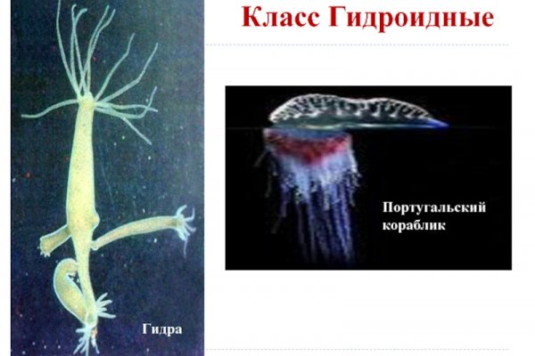 Маркетплейс кракен